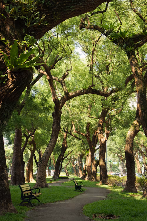 City Park